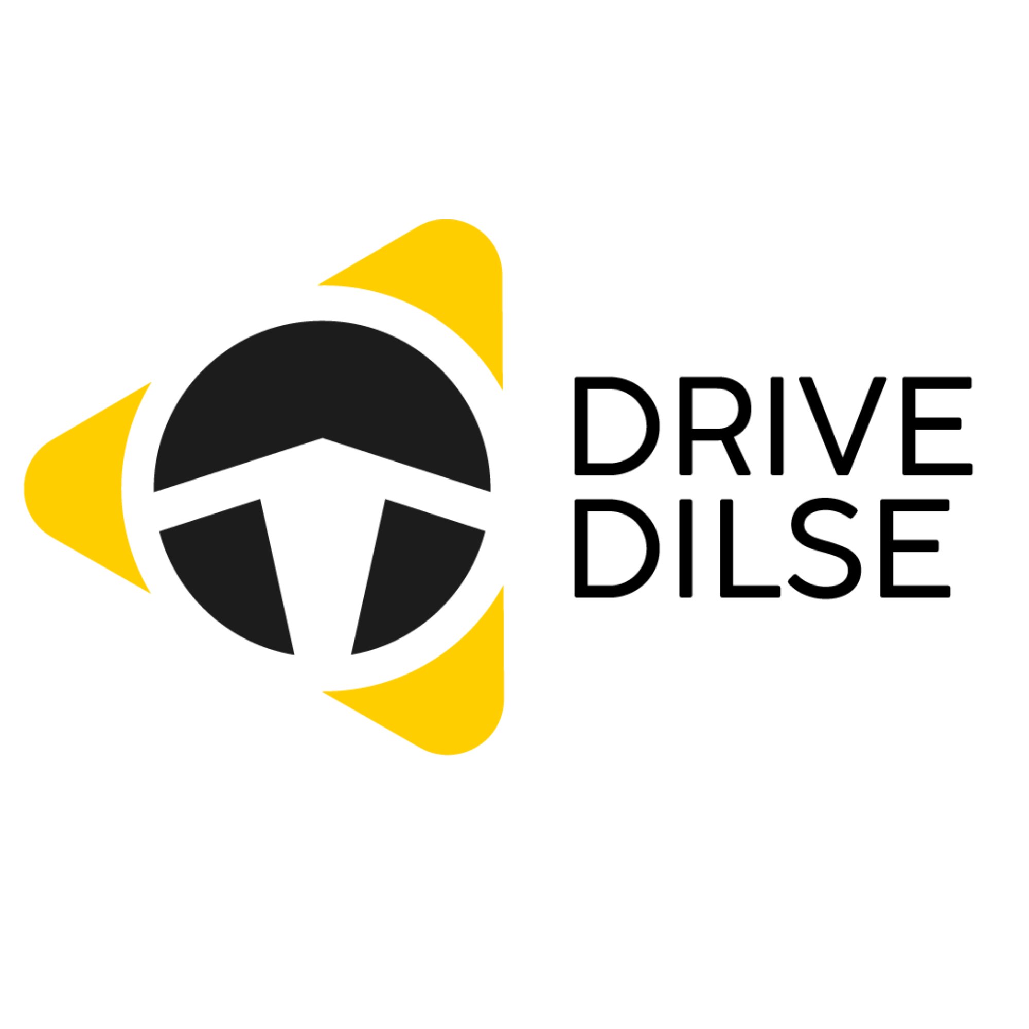 DriveDilSe